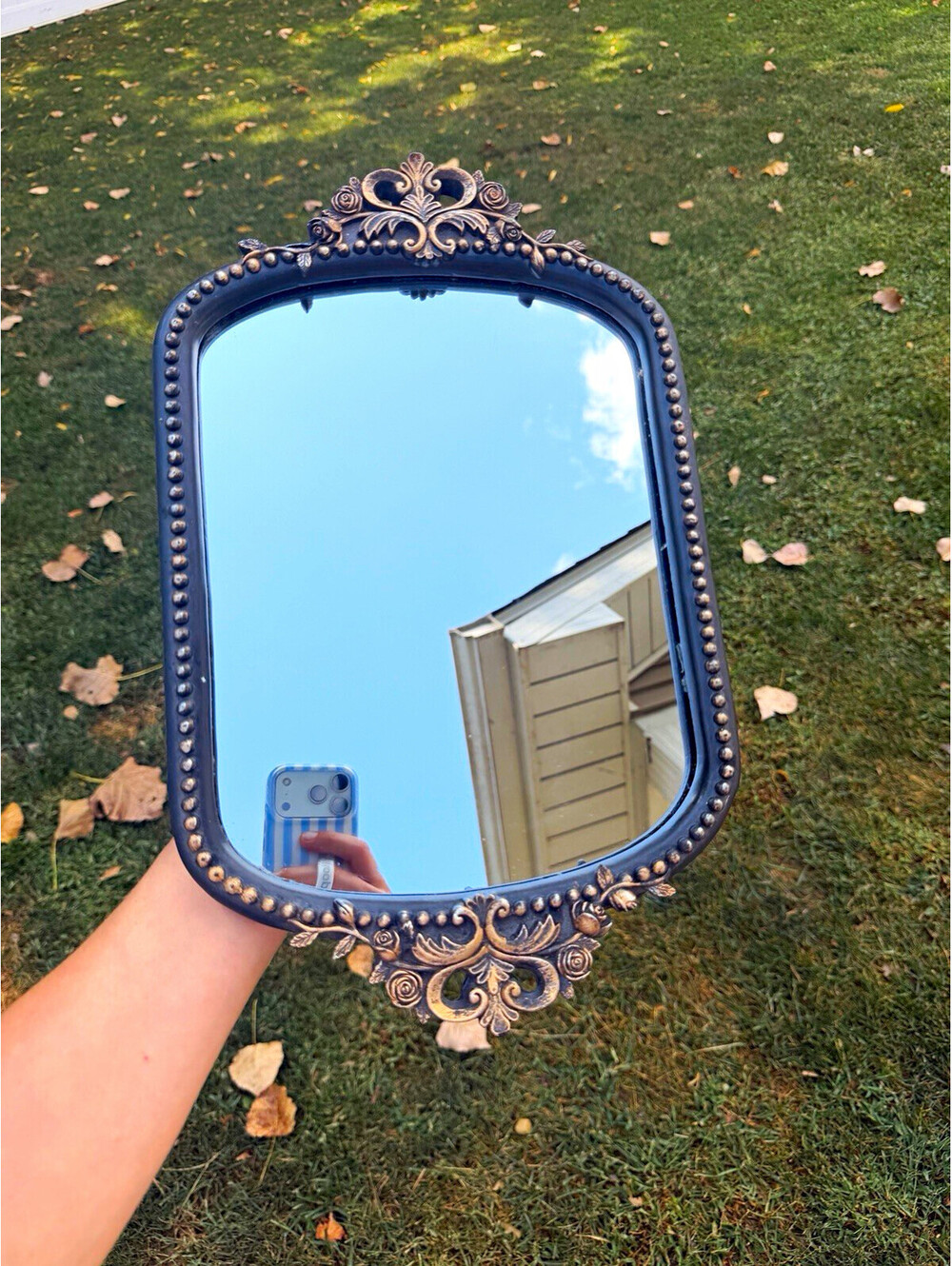 Vintage Ornate Gold & Black Metal Framed Rectangle Vertical Accent Mirror
